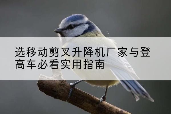 囊谦电动升降机厂家-选移动剪叉升降机厂家与登高车必看实用指南