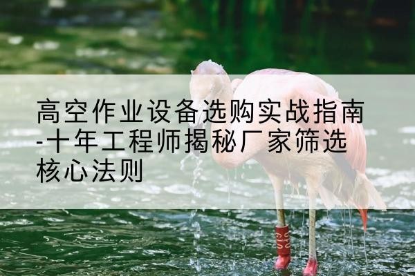 囊谦剪叉式升降机厂家-高空作业设备选购实战指南-十年工程师揭秘厂家筛选核心法则
