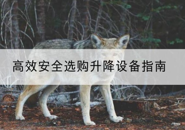 囊谦升降货梯厂家推荐-*安全选购升降设备指南
