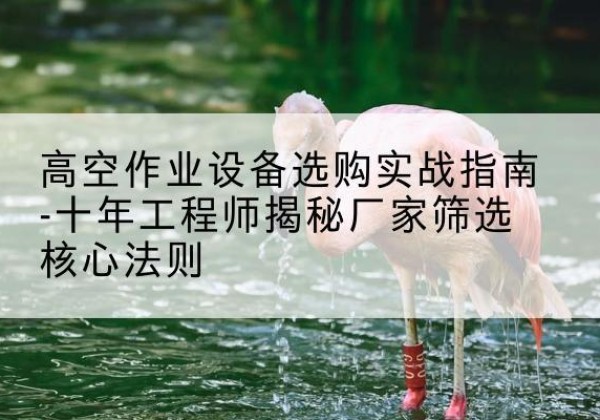 囊谦剪叉式升降机厂家-高空作业设备选购实战指南-十年工程师揭秘厂家筛选核心法则