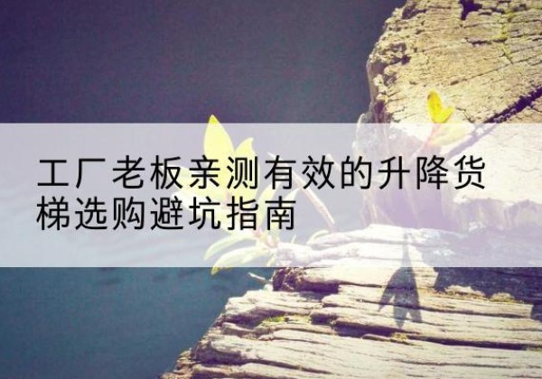 囊谦升降货梯怎么选-工厂老板亲测有效的升降货梯选购避坑指南